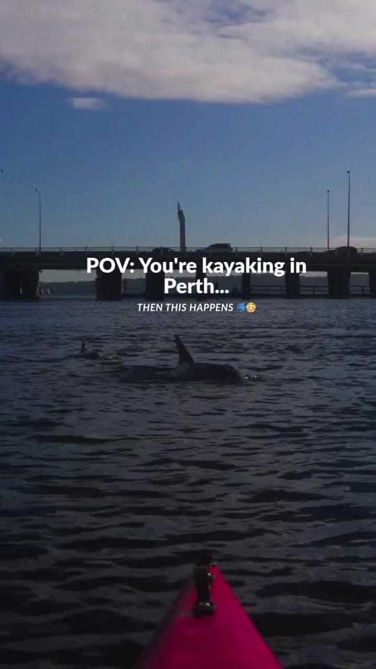 Post 7 by Welcome to Perth on TikTok (video)