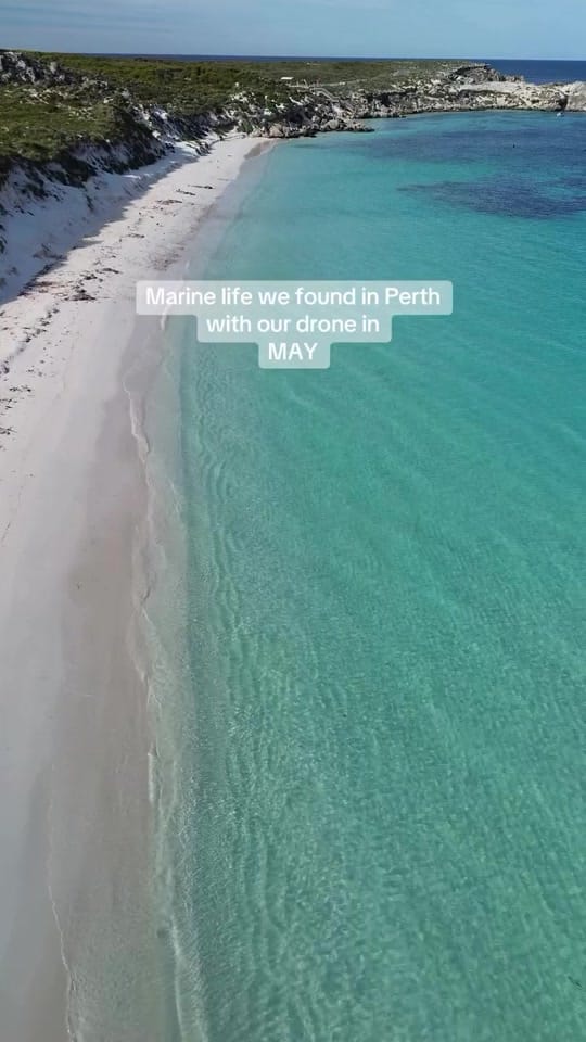 Post 5 by Welcome to Perth on TikTok (video)