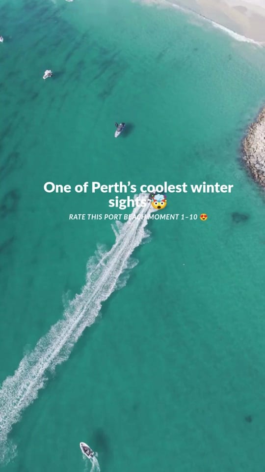Post 2 by Welcome to Perth on TikTok (video)