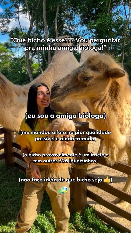 Post 8 by Lua | Bióloga on TikTok (video)