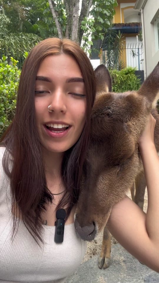 Post 10 by Lua | Bióloga on TikTok (video)