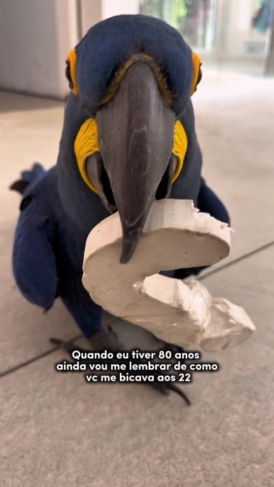 Post 4 by Lua | Bióloga on TikTok (video)