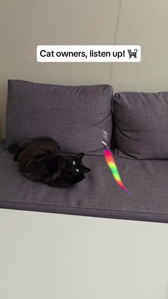 Post 6 by Create With Kelsey on TikTok (video)