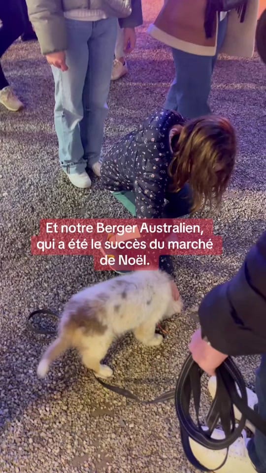 Post 2 by Carol & Damien  |  Vanlife on TikTok (video)