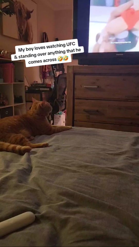 Post 7 by Brett on TikTok (video)