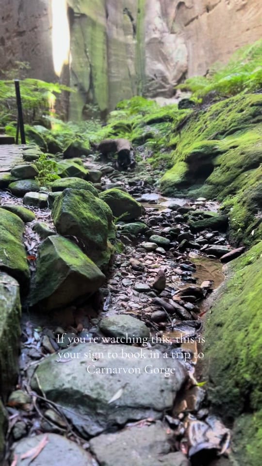 Post 7 by Letitia❤️‍🔥 on TikTok (video)