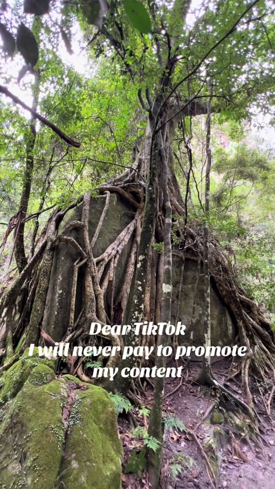 Post 2 by Letitia❤️‍🔥 on TikTok (video)
