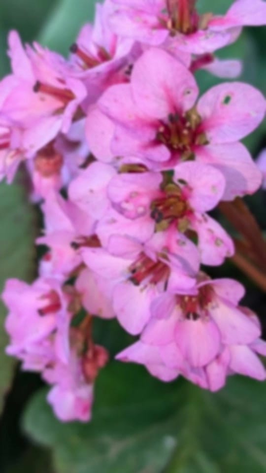 Post 4 by Abi Holly on TikTok (video)