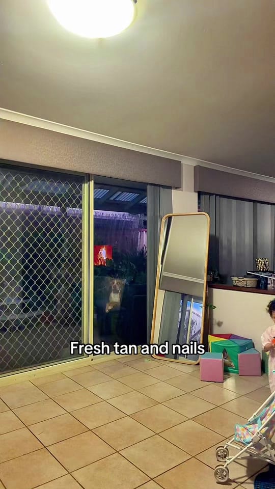 Post 2 by TheFlaxmanfam on TikTok (video)