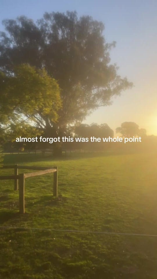 Post 7 by alfequestriann on TikTok (video)