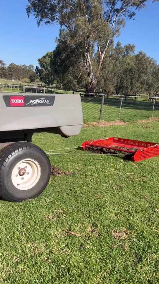 Post 9 by alfequestriann on TikTok (video)