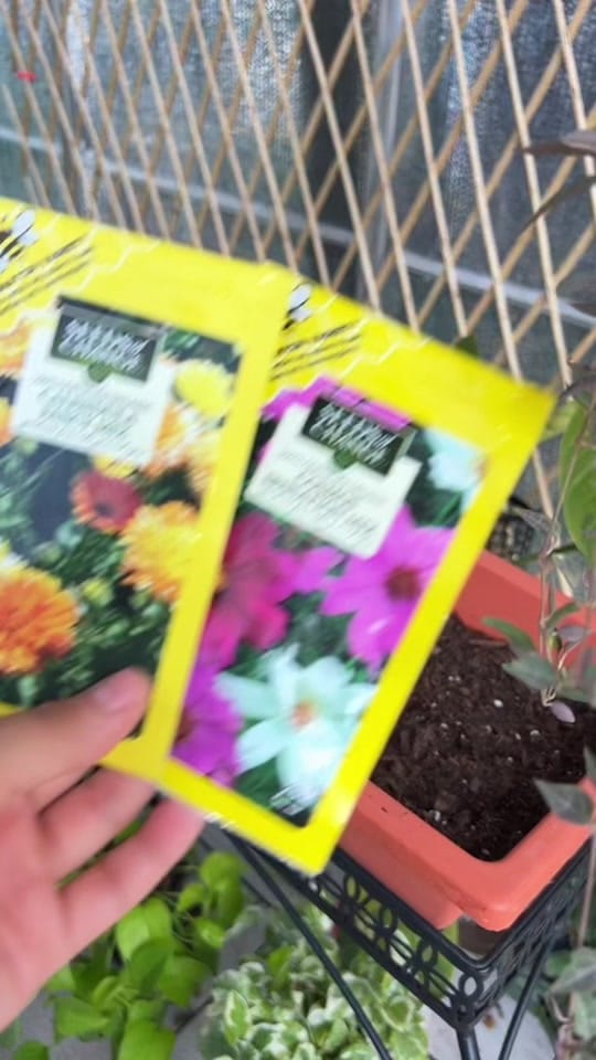 Post 3 by Sydney on TikTok (video)