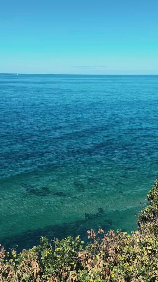 Post 8 by •Brad•K on TikTok (video)