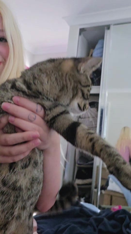 Post 6 by 🧜‍♀️MummaSteph87🧜‍♀️ on TikTok (video)
