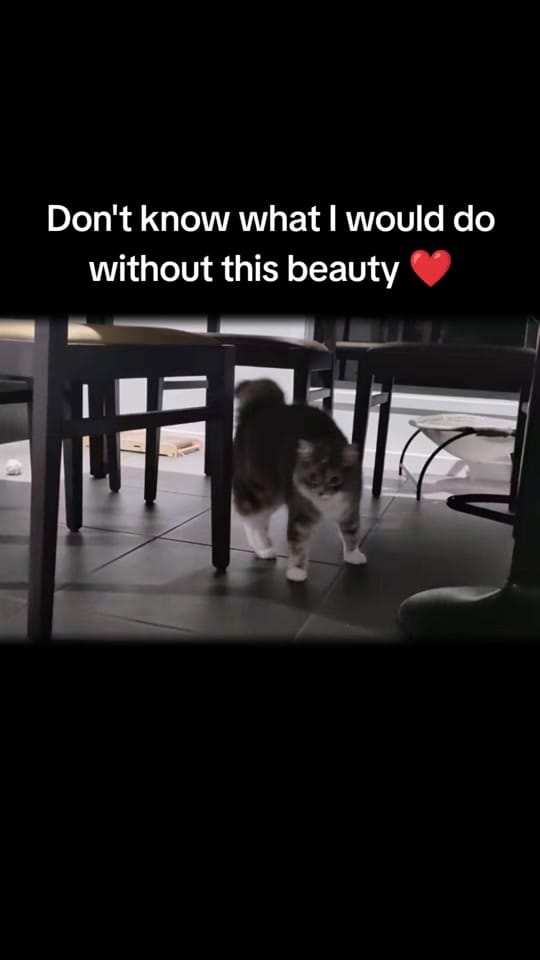 Post 7 by 🎮♤ W0lffBite ♤ 🎮 on TikTok (video)