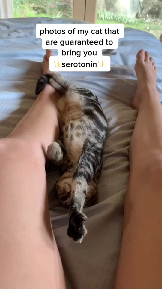 Post 6 by Juliette on TikTok (video)
