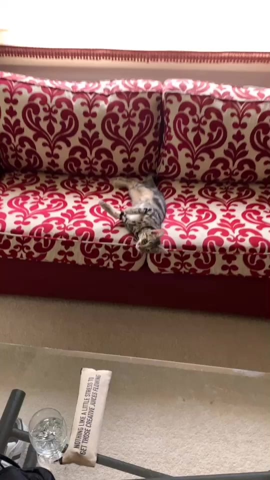 Post 5 by Juliette on TikTok (video)