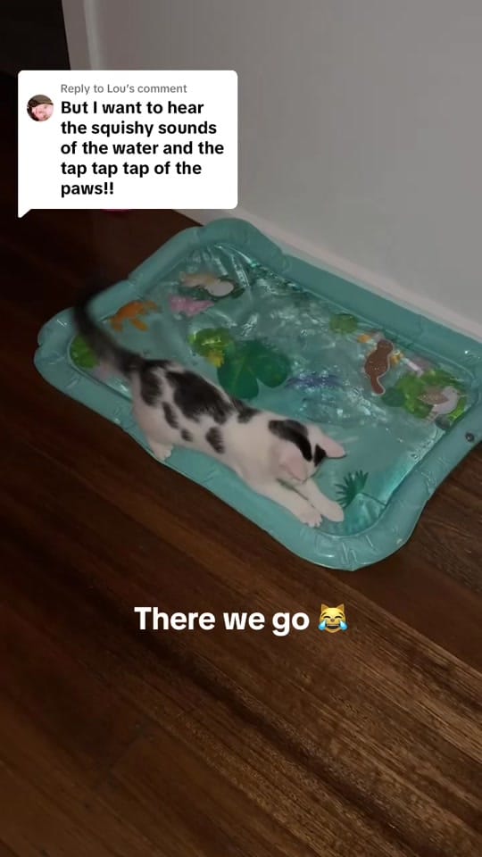 Post 10 by Nala & Simba on TikTok (video)