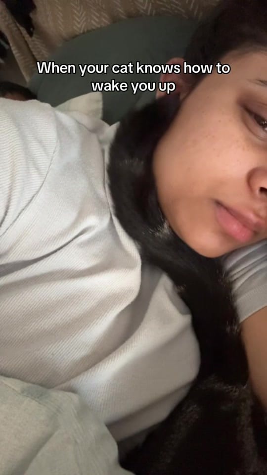 Post 5 by Nala & Simba on TikTok (video)