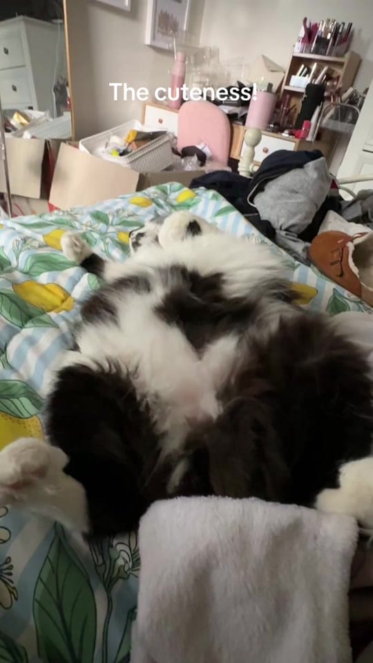 Post 1 by natalieugcaustralia on TikTok (video)