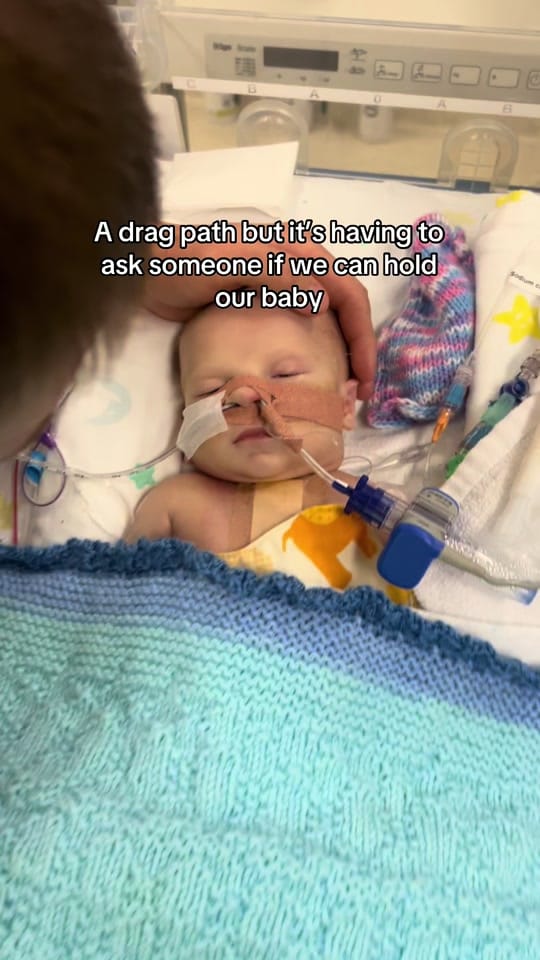 Post 5 by Ellie Parish on TikTok (video)