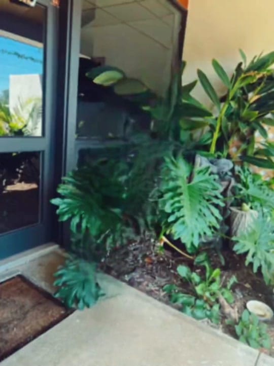 Post 6 by Mudra Trivedi on TikTok (video)