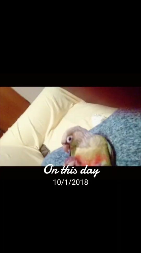 Post 1 by Emikero on TikTok (video)