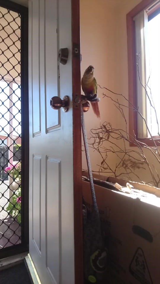 Post 9 by Emikero on TikTok (video)
