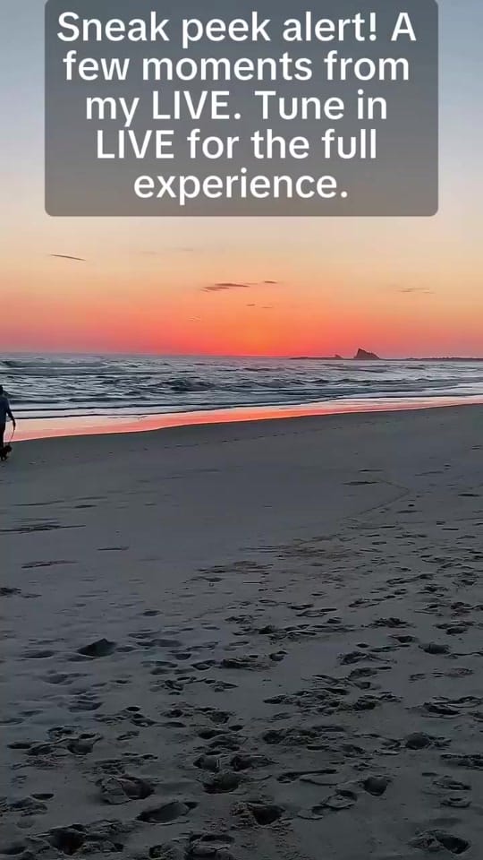 Post 8 by Grant on TikTok (video)