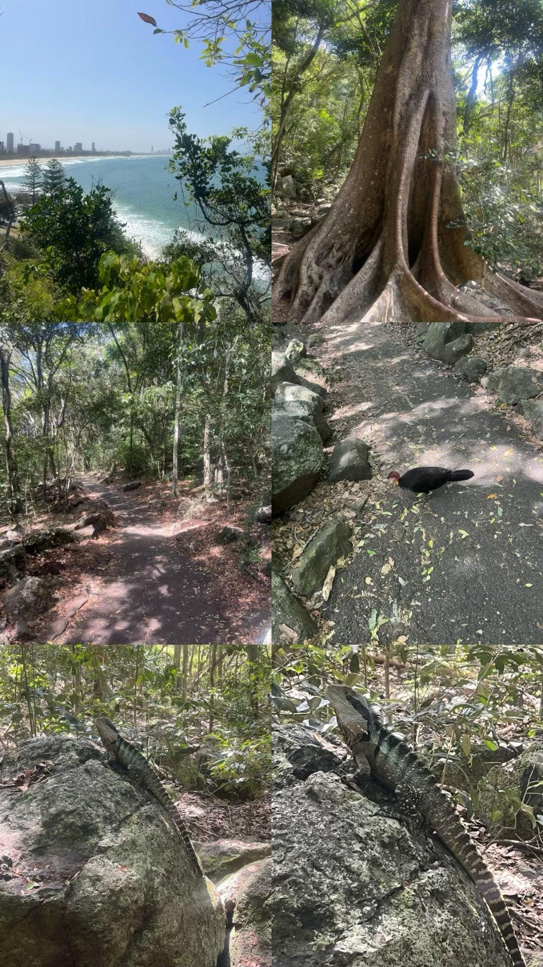 Post 9 by Grant on TikTok (video)