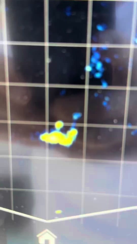 Post 10 by Fishing Australia Official on TikTok (video)