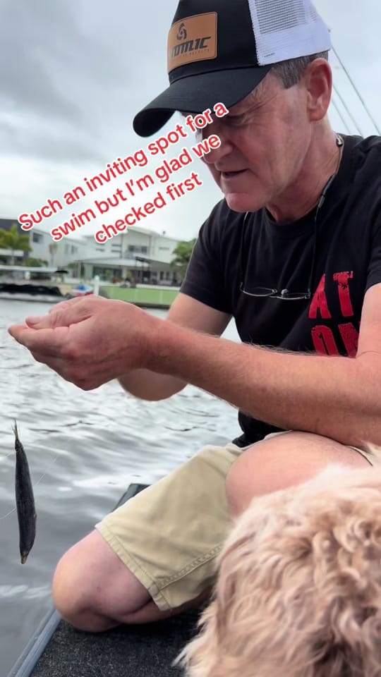 Post 5 by Fishing Australia Official on TikTok (video)