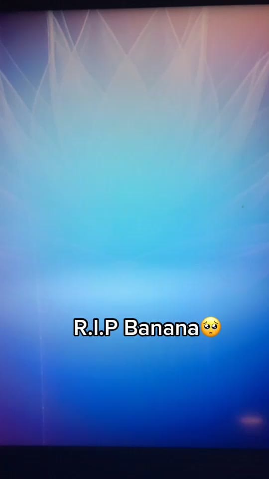 Post 3 by Trixxy_candy on TikTok (video)