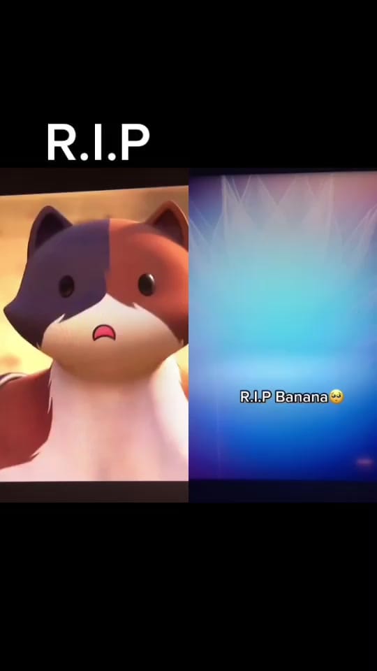 Post 2 by Trixxy_candy on TikTok (video)