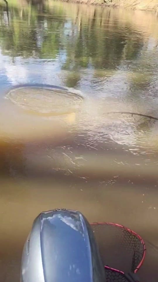 Post 10 by ROWDY7 on TikTok (video)