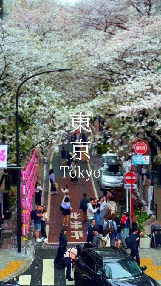 Post 4 by Ikki on TikTok (video)