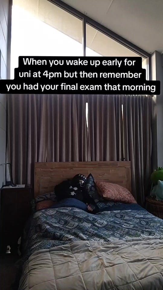 Post 10 by ArcticStar13 on TikTok (video)