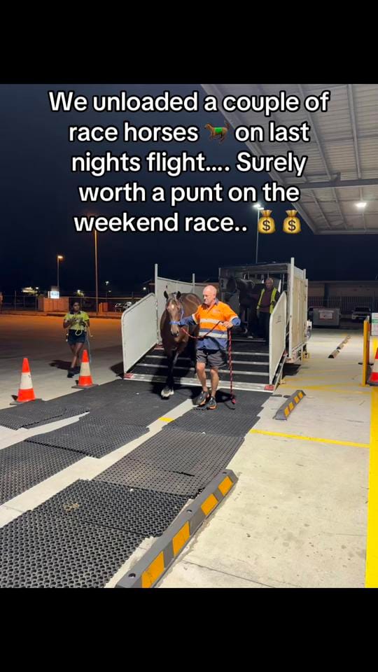 Post 5 by rocky_1982 on TikTok (video)