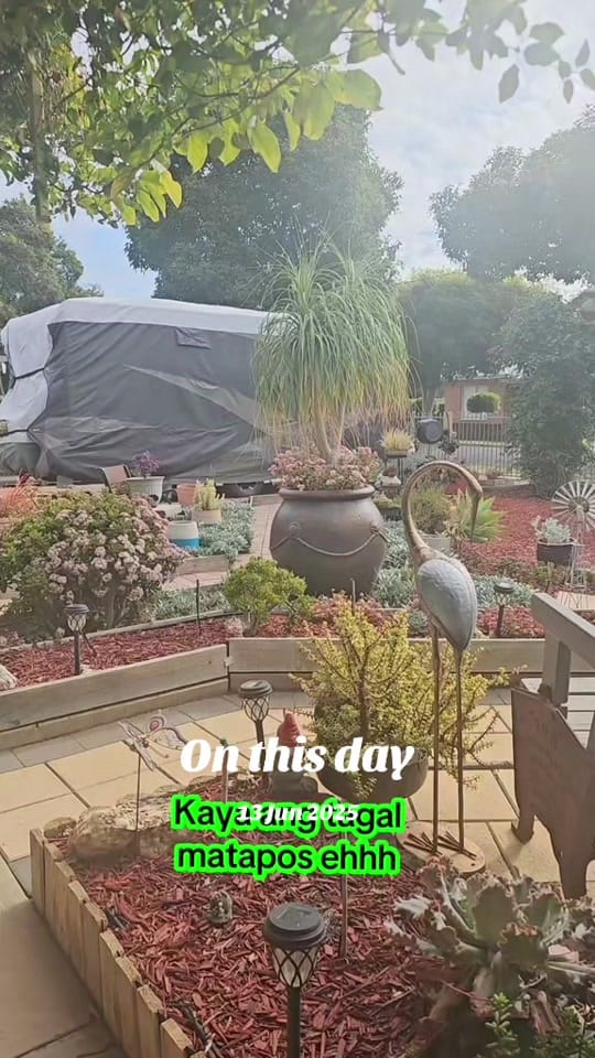 Post 6 by ⚜️🦁Haydee Bell 🦅⚜️ on TikTok (video)