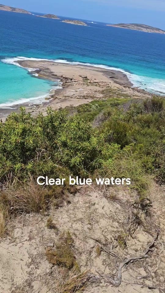 Post 8 by ⚜️🦁Haydee Bell 🦅⚜️ on TikTok (video)