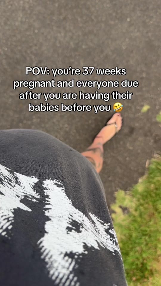 Post 4 by Laurakate Harman on TikTok (video)