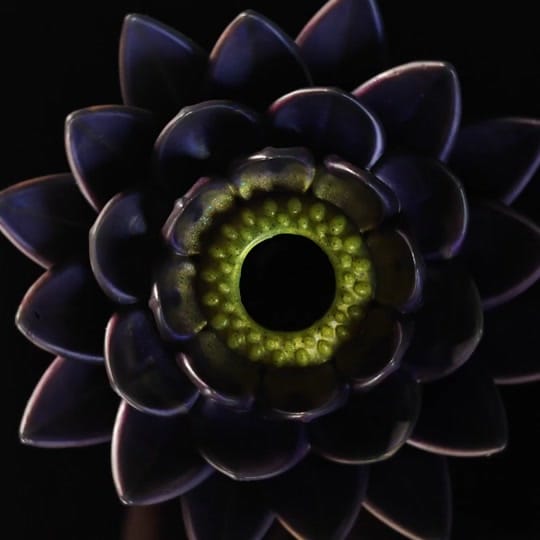 Post 5 by Kinky Kreatures on TikTok (video)