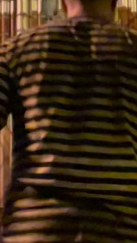 Post 6 by dancandisco on TikTok (video)