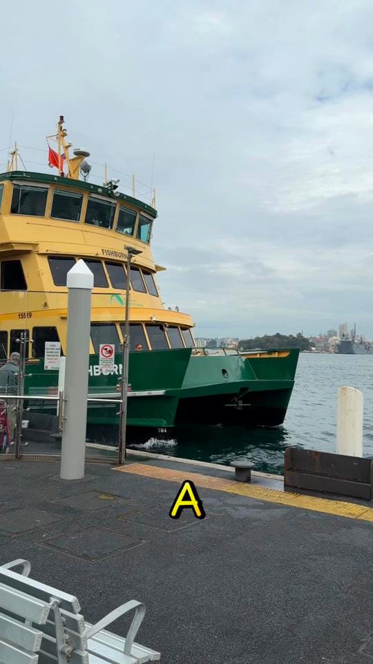 Post 5 by Fergus Neal on TikTok (video)