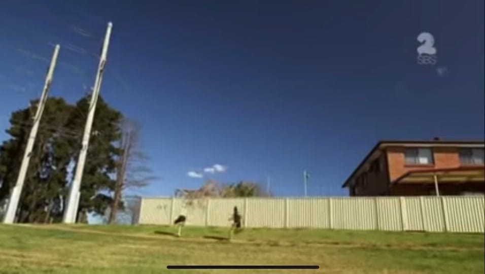 Post 5 by Lolcuzzy on TikTok (video)