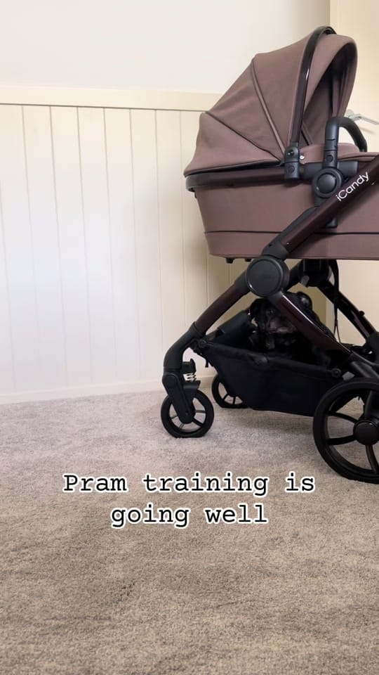 Post 2 by Kristy Beames on TikTok (video)