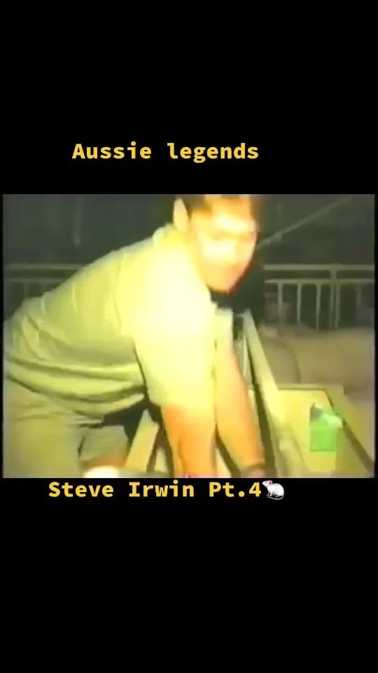 Post 10 by Stevesydfish on TikTok (video)