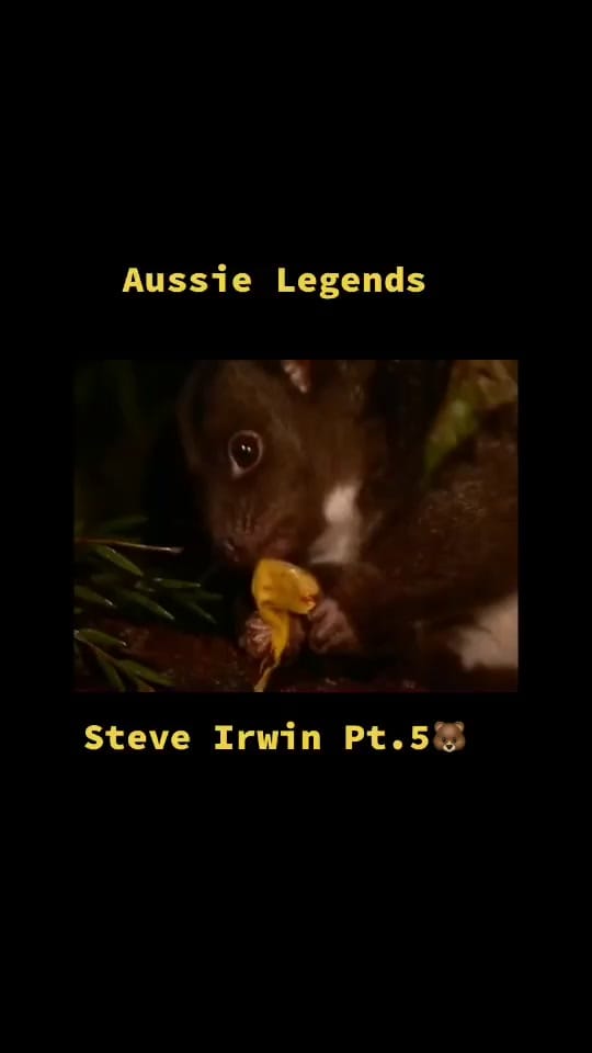Post 8 by Stevesydfish on TikTok (video)