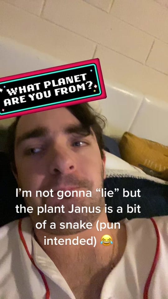 Post 4 by Velvet King on TikTok (video)