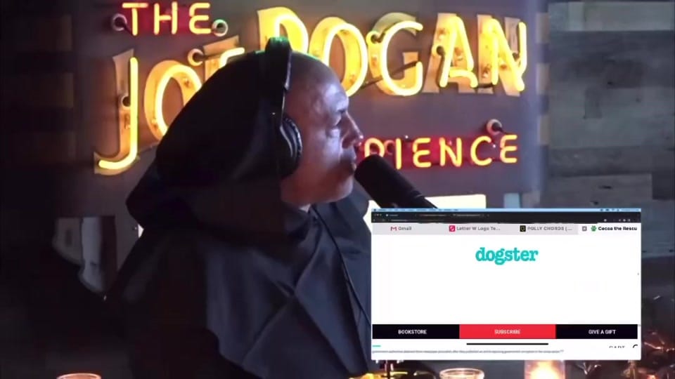 Post 6 by Cocoa the Tour Dog on TikTok (video)